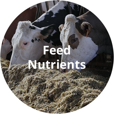 services-feednutrients